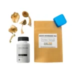 First-timer Magic Mushroom Kit