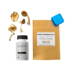 First-timer Magic Mushroom Kit