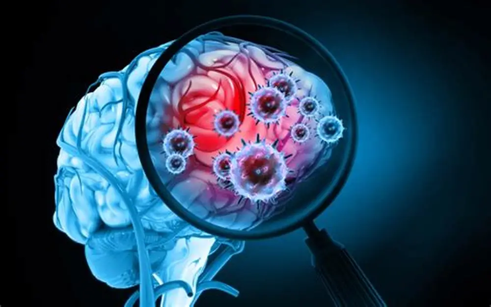 How Do Magic Mushrooms Affect The Brain