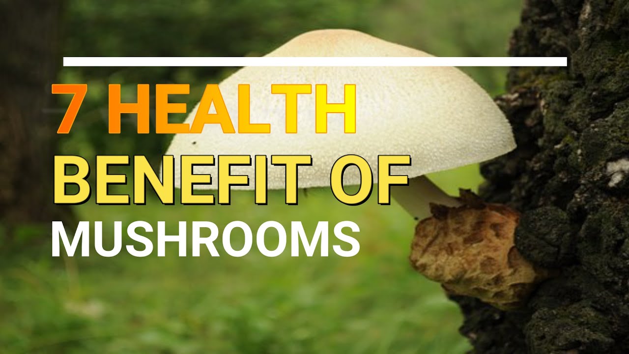 Benefits Of Magic Mushrooms