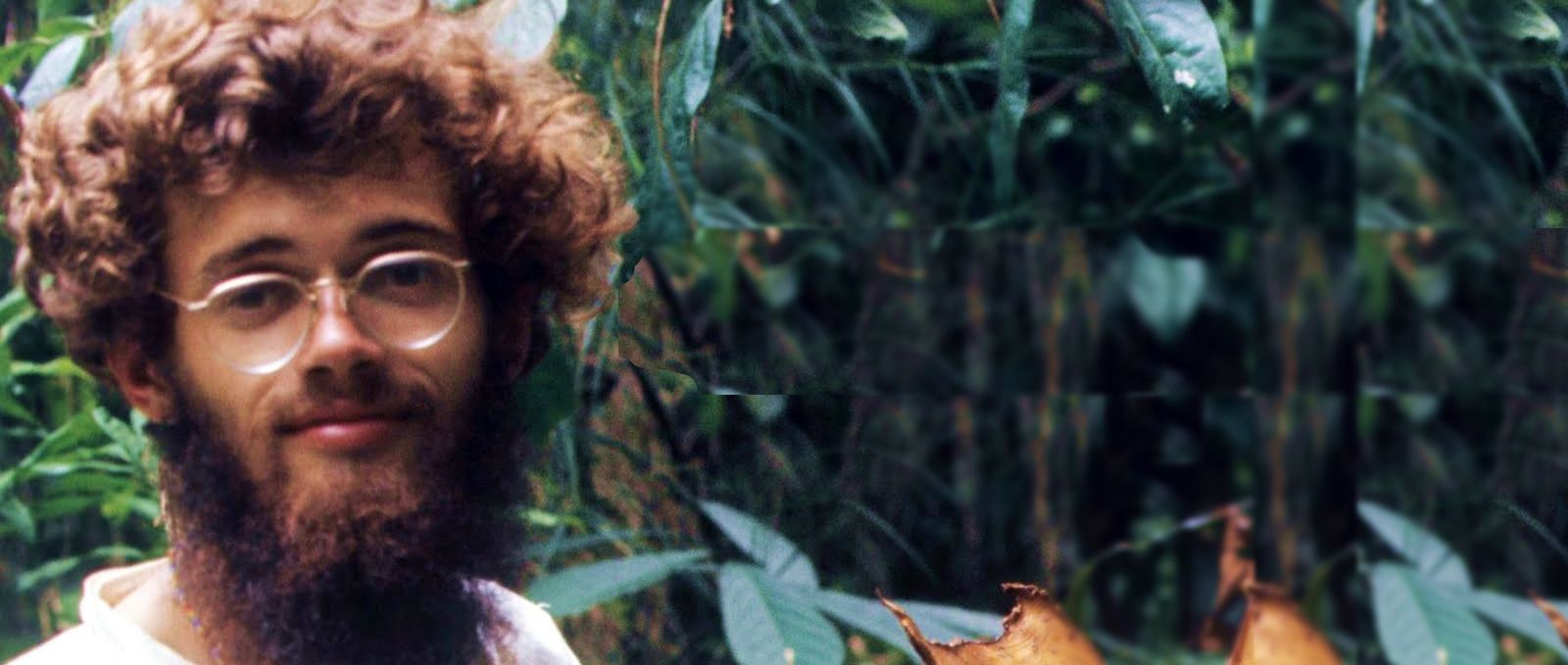 McKenna magic mushrooms