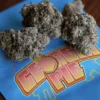 Cannabis Buds
