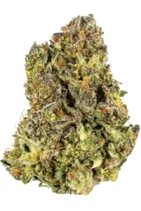 Vanilla Bean Strain