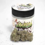 Vanilla Bean Strain