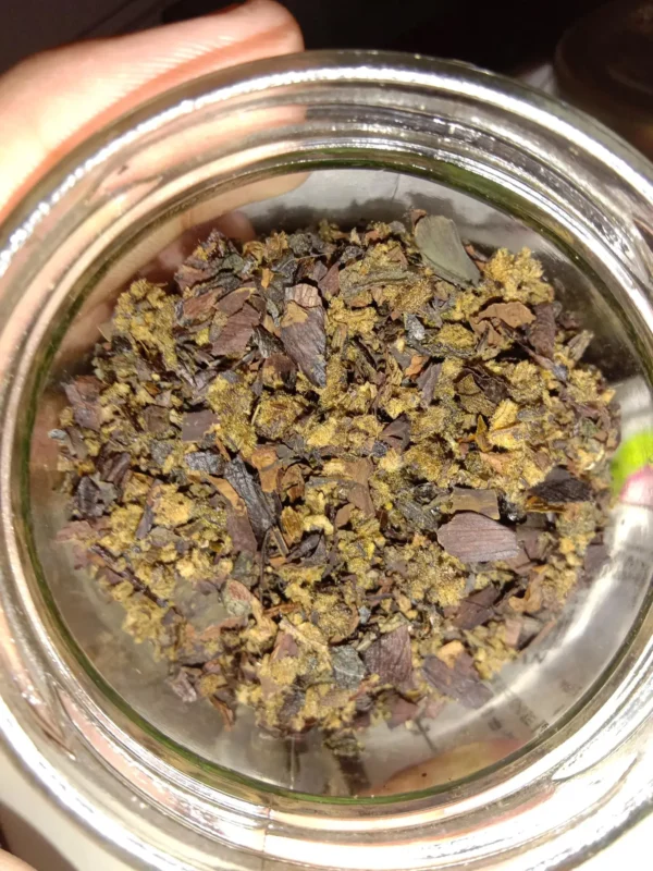 Changa Dmt