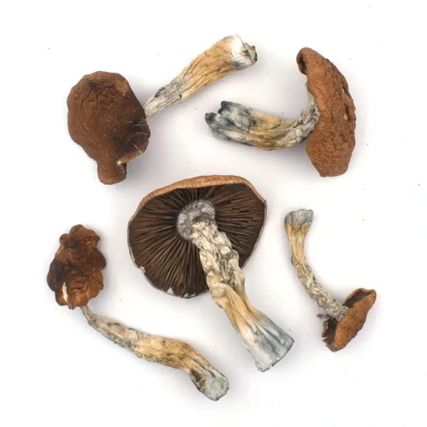 Macrodose