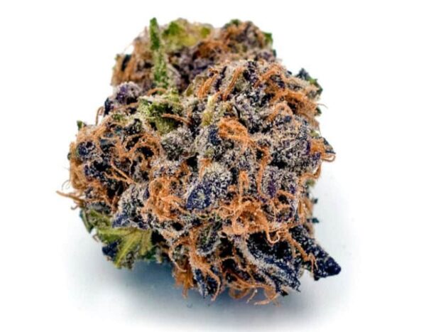 Alpha Runtz Strain