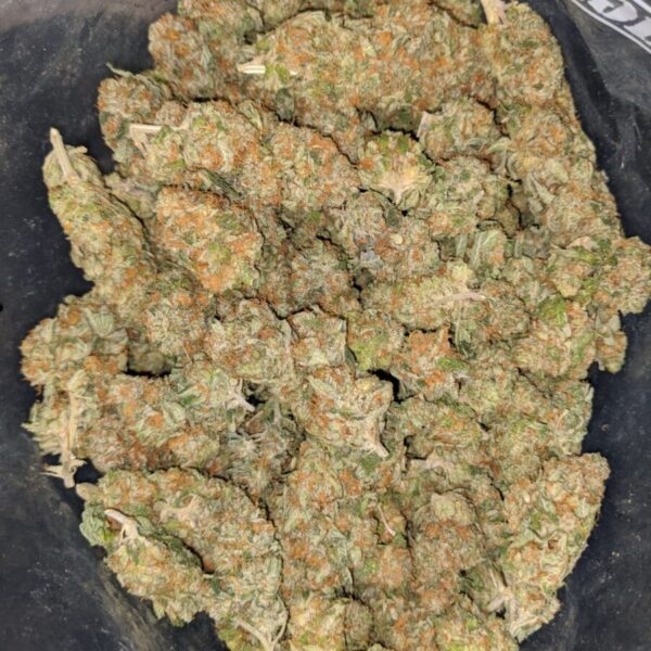 Amnesia Haze Strain